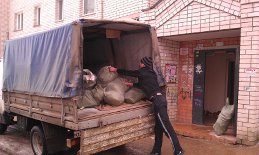Вывоз мусора Киев дешево